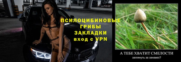 ПСИЛОЦИБИНОВЫЕ ГРИБЫ Аркадак
