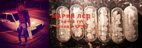 ПСИЛОЦИБИНОВЫЕ ГРИБЫ Аркадак
