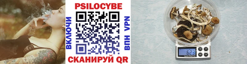 наркота  Луховицы  Псилоцибиновые грибы Cubensis 
